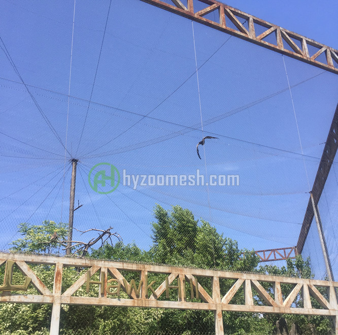 stainless steel cable mesh for birds