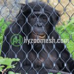 A gorilla inside of the zoo enclosure