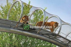 tiger tunnel channel mesh