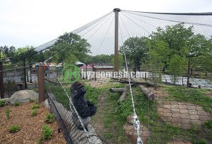 stainless steel wire rope mesh