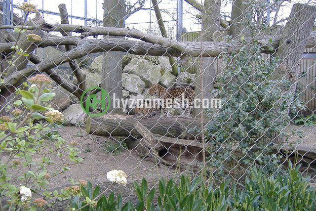 Leopard enclosure mesh
