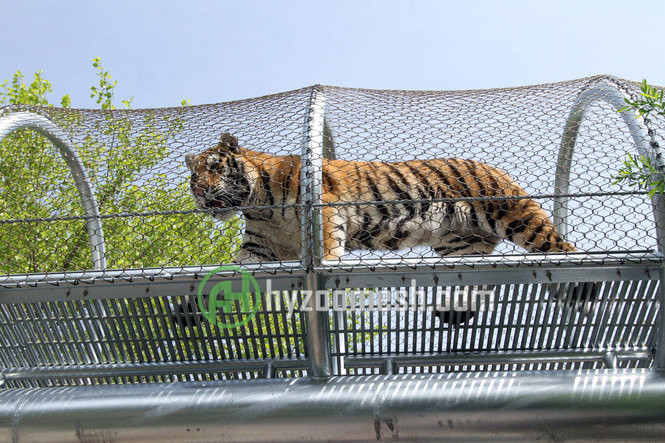 stainless steel tunnel mesh