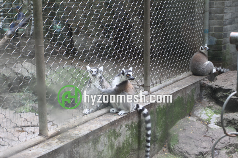 animal enclosure mesh