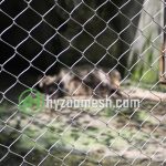 animal fence mesh