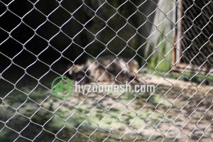 animal fence mesh
