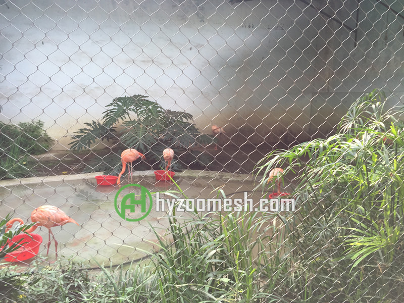 Flamingo Enclosure Mesh