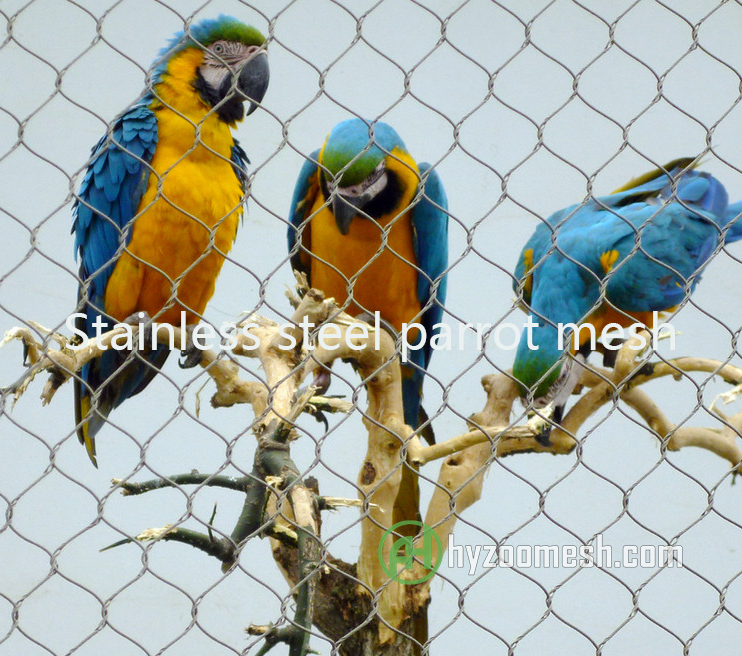 stainless steel parrot mesh