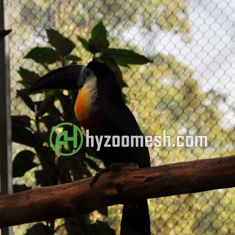 stainless steel bird cage wire mesh
