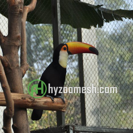 stainless steel bird cage mesh