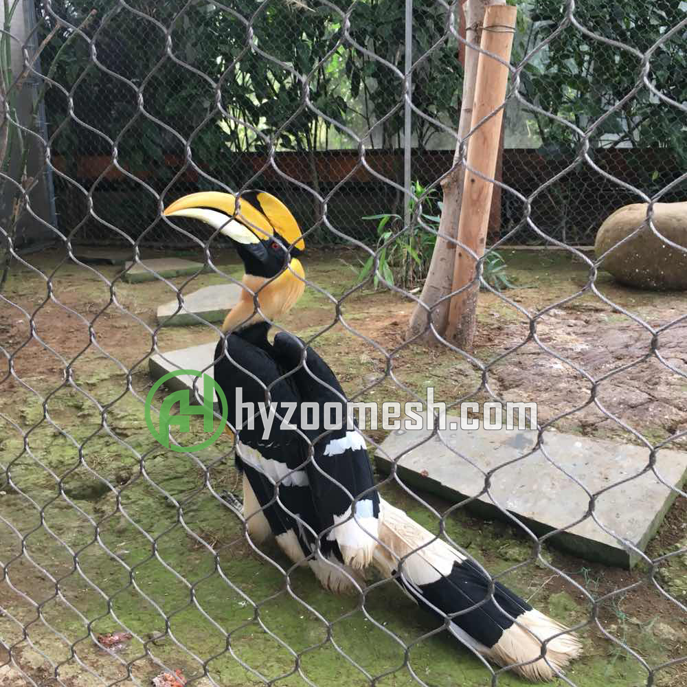 stainless steel wire mesh for bird